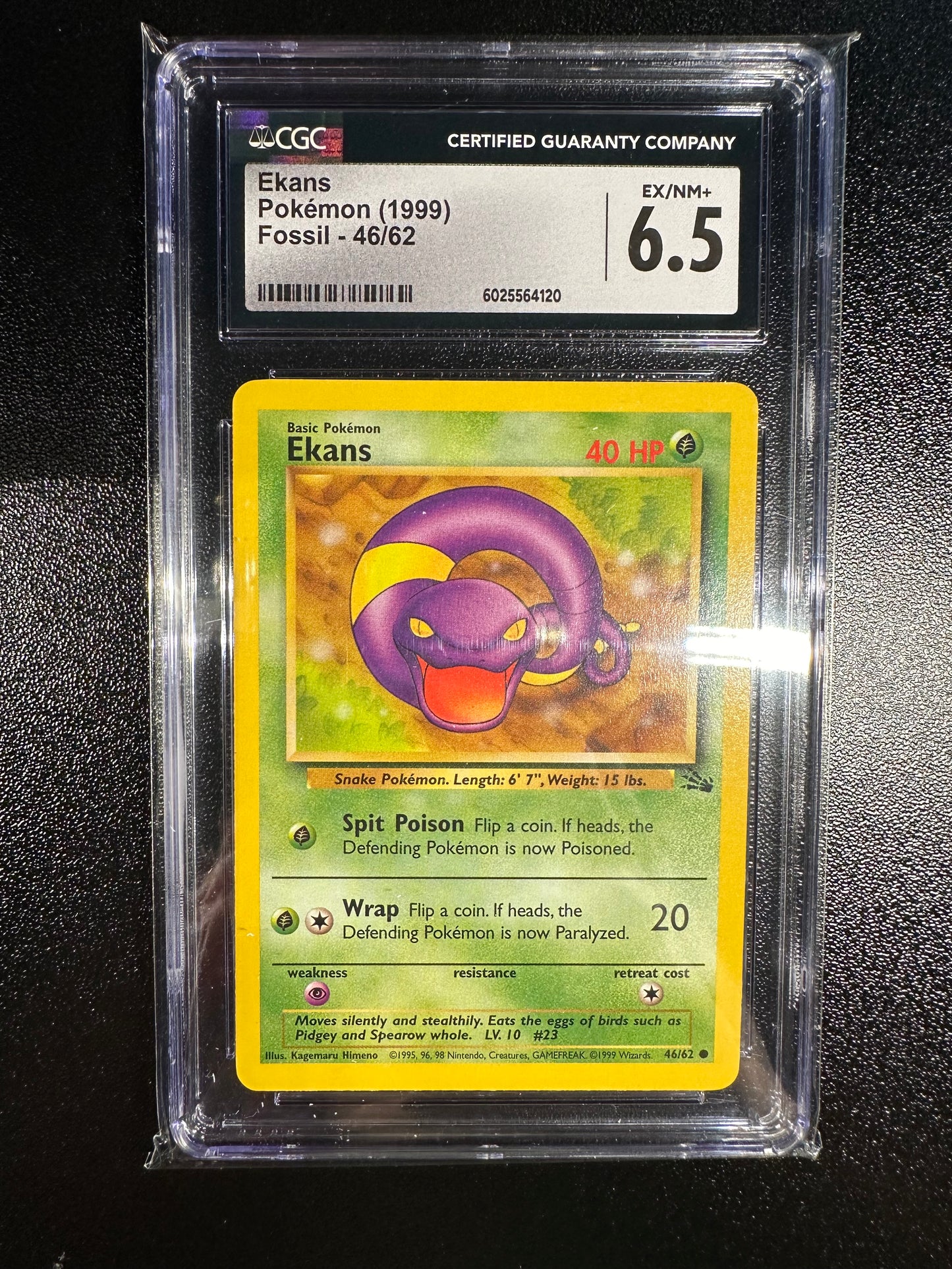 Ekans